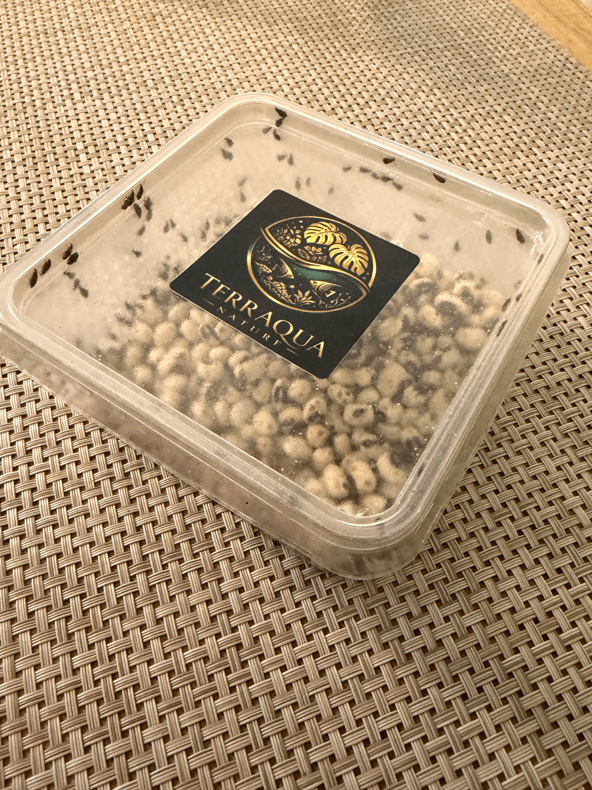 Bruches de haricots